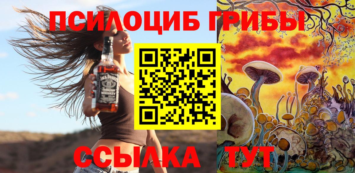 Псилоцибиновые грибы мицелий Белогорск