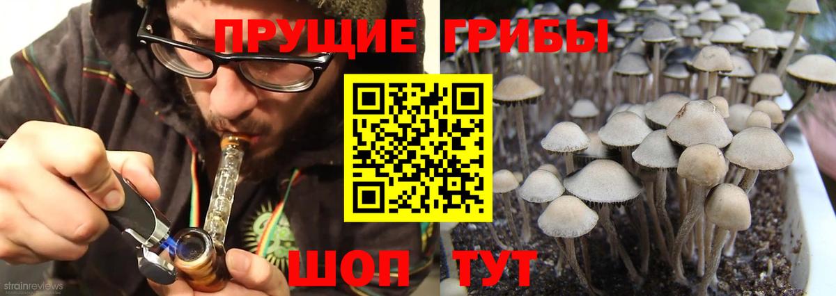 Псилоцибиновые грибы мицелий  Вход с VPN  Белогорск 